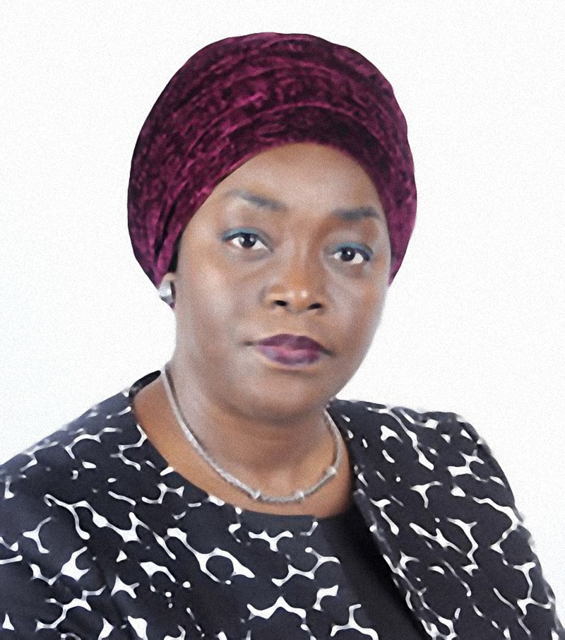 Minafou Fanta Coulibaly-Koné, directeur général du Fagace | Photo : lesdirigeantes.com