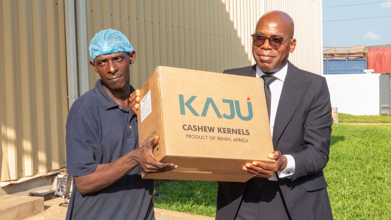 Noix de Cajou au Bénin : la révolution selon Patrice Talon avec la production industrielle (GDIZ)