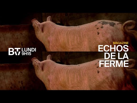 suivez-sur-l’ortb-« bande-d’annonce-mag-echos-de-la-ferme »