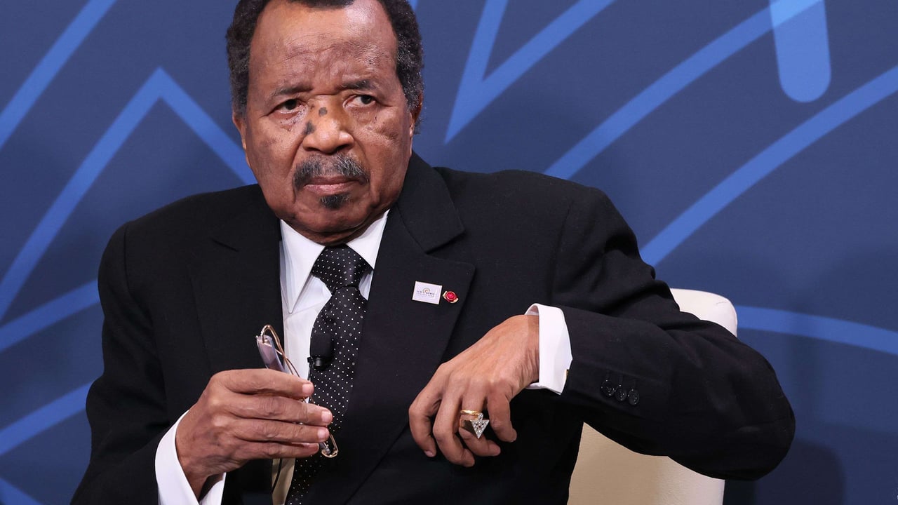 presidentielle-au-cameroun :-rencontre-avec-cette-diaspora-qui-a-jure-de-faire-tomber-paul-biya