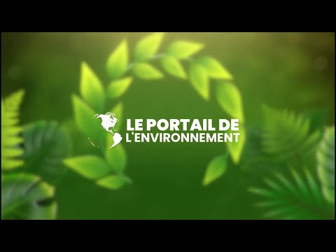 « portail-de-l’environnement-:-amenagement-des-espaces-verts-et-paysagers »-[video]